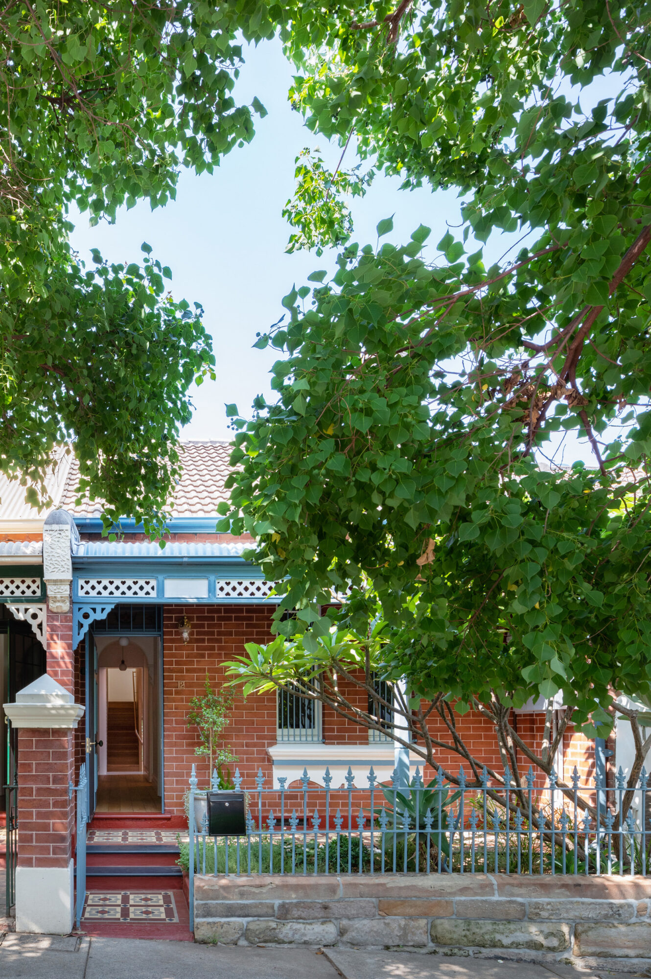 Concrete Blonde Carter Williamson