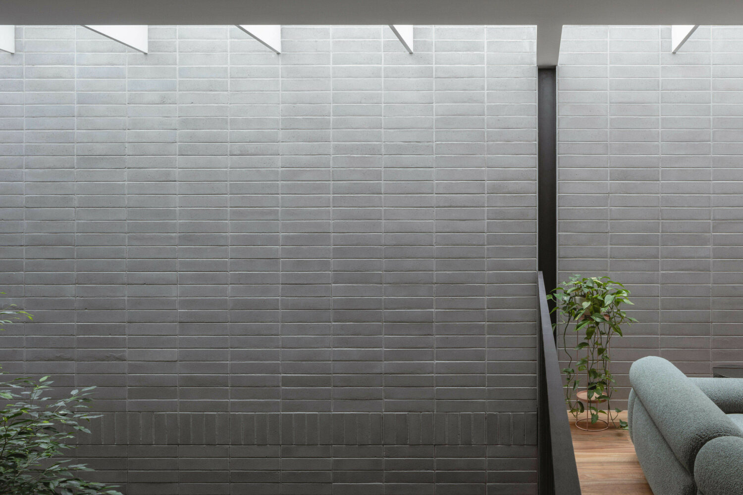 Tree Island Carter Williamson